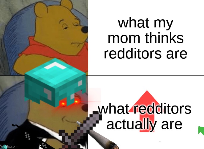 what my mom thinks redditors are; what redditors actually are | image tagged in reddit | made w/ Imgflip meme maker
