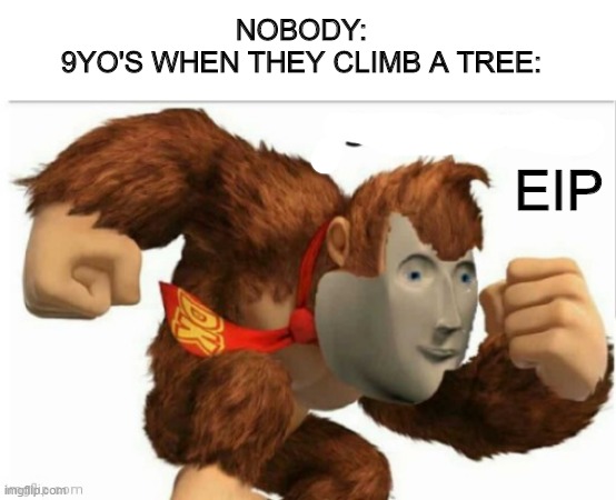 Ei P | NOBODY:
9YO'S WHEN THEY CLIMB A TREE:; EIP | image tagged in stonkey kong | made w/ Imgflip meme maker