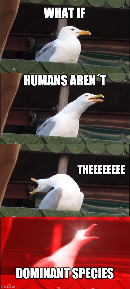 King Seagull if ya know what I´m saying | WHAT IF; HUMANS AREN´T; THEEEEEEEE; DOMINANT SPECIES | image tagged in memes,inhaling seagull | made w/ Imgflip meme maker