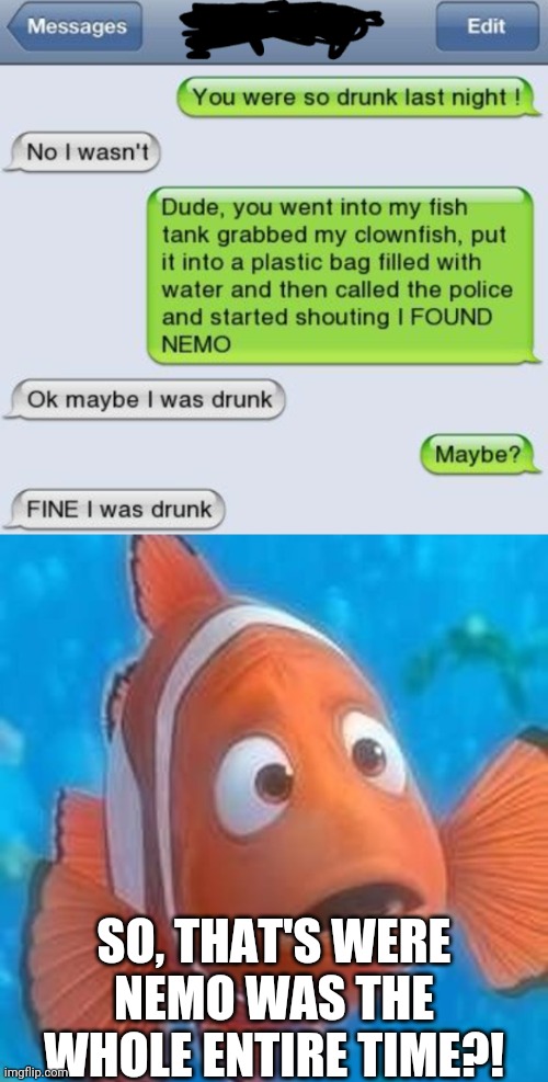 Mystery Solved | SO, THAT'S WERE NEMO WAS THE WHOLE ENTIRE TIME?! | image tagged in marlin dropoff | made w/ Imgflip meme maker