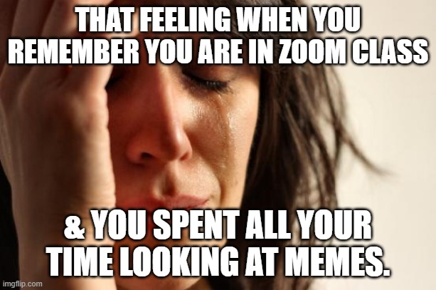 First World Problems | THAT FEELING WHEN YOU REMEMBER YOU ARE IN ZOOM CLASS; & YOU SPENT ALL YOUR TIME LOOKING AT MEMES. | image tagged in memes,first world problems | made w/ Imgflip meme maker