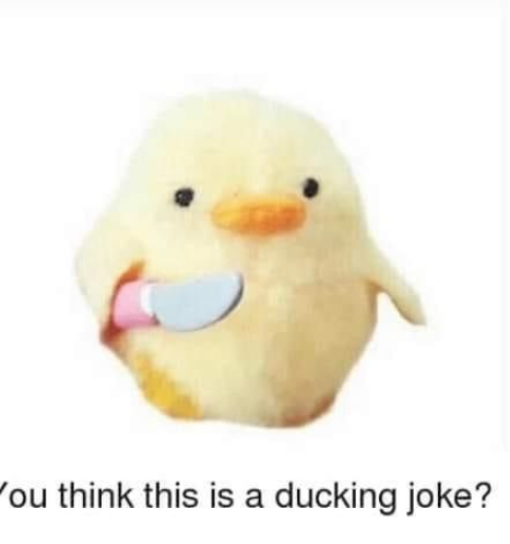 you think this is a ducking joke? Blank Meme Template