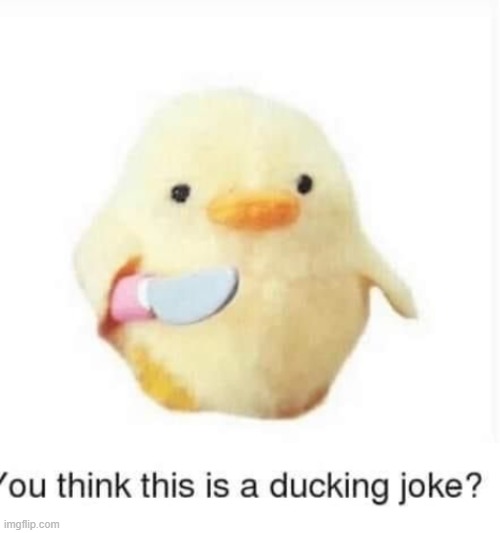 this is a new meme template... again | image tagged in you think this is a ducking joke | made w/ Imgflip meme maker