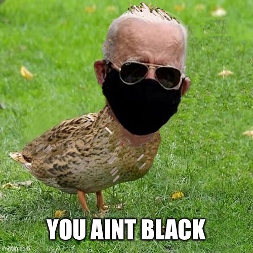 You | YOU AINT BLACK | image tagged in joe bidenduck black mask n sunglasses | made w/ Imgflip meme maker