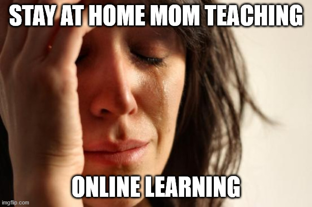 First World Problems | STAY AT HOME MOM TEACHING; ONLINE LEARNING | image tagged in memes,first world problems | made w/ Imgflip meme maker