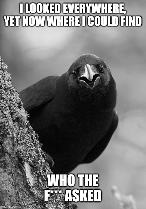 Crow looking around tree trunk | I LOOKED EVERYWHERE, YET NOW WHERE I COULD FIND WHO THE F*** ASKED | image tagged in crow looking around tree trunk | made w/ Imgflip meme maker