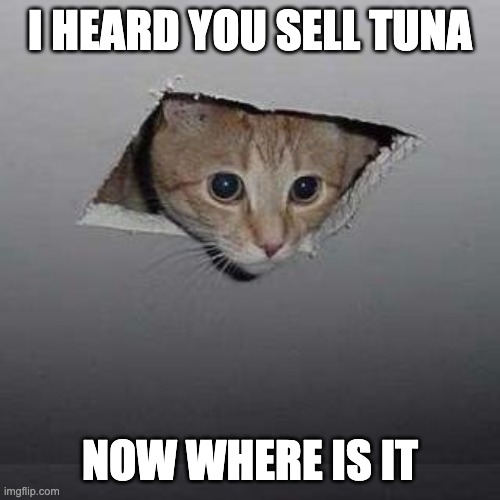 Ceiling Cat | I HEARD YOU SELL TUNA; NOW WHERE IS IT | image tagged in memes,ceiling cat | made w/ Imgflip meme maker