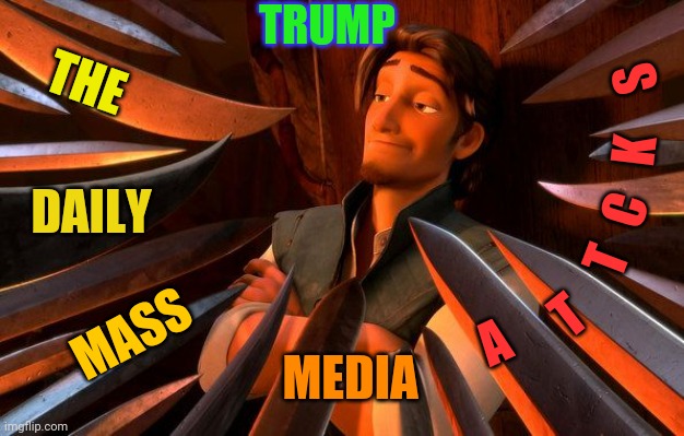 Media | TRUMP; THE; S; K; C; DAILY; T; T; A; MASS; MEDIA | image tagged in media,hates,donald trump,funny,memes | made w/ Imgflip meme maker