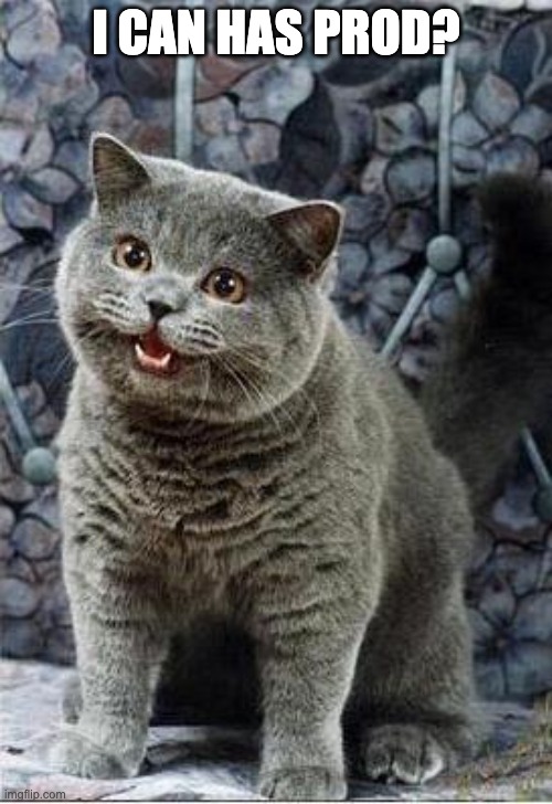 I can has cheezburger cat | I CAN HAS PROD? | image tagged in i can has cheezburger cat | made w/ Imgflip meme maker