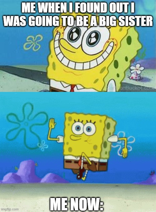 siblings | ME WHEN I FOUND OUT I WAS GOING TO BE A BIG SISTER; ME NOW: | image tagged in siblings | made w/ Imgflip meme maker