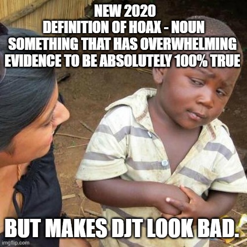 DJT HOAX | NEW 2020 DEFINITION OF HOAX - NOUN
SOMETHING THAT HAS OVERWHELMING 
EVIDENCE TO BE ABSOLUTELY 100% TRUE; BUT MAKES DJT LOOK BAD. | image tagged in memes,third world skeptical kid | made w/ Imgflip meme maker