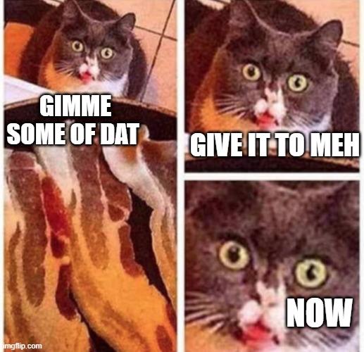 Me when I see food | GIMME SOME OF DAT; GIVE IT TO MEH; NOW | image tagged in cats,bacon | made w/ Imgflip meme maker