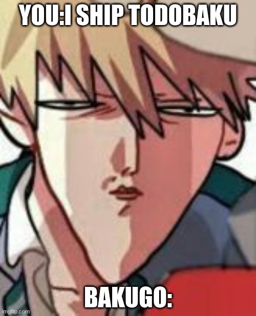 Bakugo WTF | YOU:I SHIP TODOBAKU; BAKUGO: | image tagged in bakugo wtf,bakugo | made w/ Imgflip meme maker