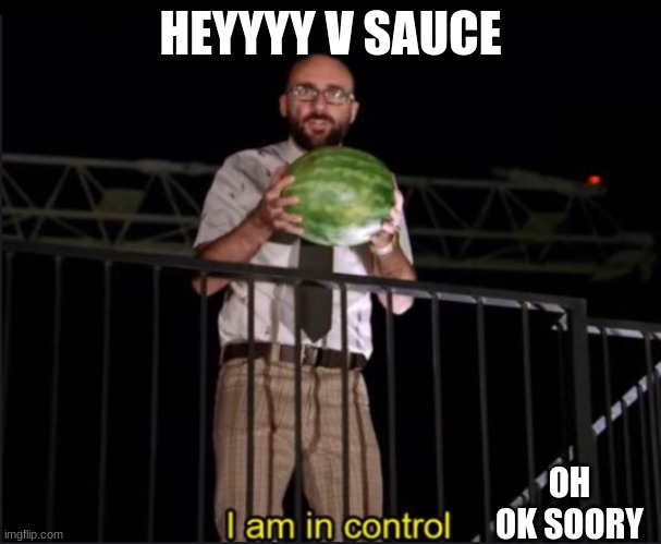 Hey V sauce format here | HEYYYY V SAUCE; OH OK SOORY | image tagged in hey v sauce format here | made w/ Imgflip meme maker