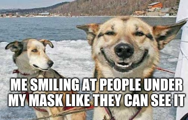 Smile | ME SMILING AT PEOPLE UNDER MY MASK LIKE THEY CAN SEE IT | image tagged in memes,original stoner dog | made w/ Imgflip meme maker