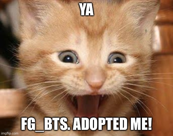 Yay!!! | YA; FG_BTS. ADOPTED ME! | image tagged in memes,excited cat | made w/ Imgflip meme maker