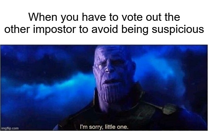 Thanos I'm sorry little one | When you have to vote out the other impostor to avoid being suspicious | image tagged in thanos i'm sorry little one,among us,memes | made w/ Imgflip meme maker