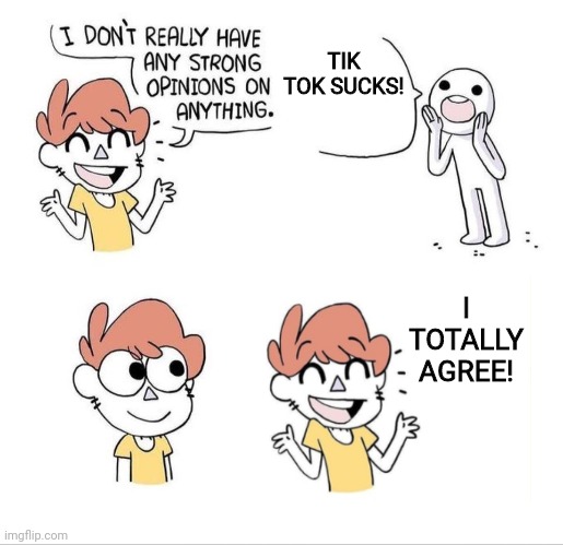 I don't really have any strong opinions on anything - Bluechair | TIK TOK SUCKS! I TOTALLY AGREE! | image tagged in i don't really have any strong opinions on anything - bluechair | made w/ Imgflip meme maker