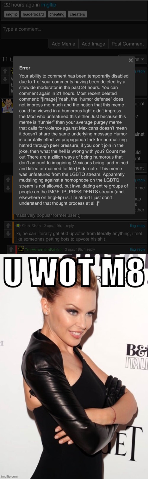 Comment timered again: This time, for standing up to a bigot/homophobe. Lol. | image tagged in kylie u wot m8,deleted kamizake comment/censorship,homophobe,censorship,censored,imgflip mods | made w/ Imgflip meme maker