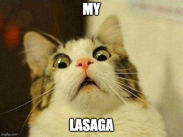 LASAGA | MY; LASAGA | image tagged in memes,scared cat | made w/ Imgflip meme maker