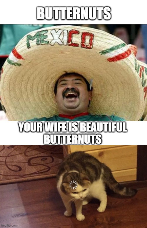 BUTTERNUTS; YOUR WIFE IS BEAUTIFUL
BUTTERNUTS | image tagged in mexican word of the day,buffering cat,memes,funny | made w/ Imgflip meme maker