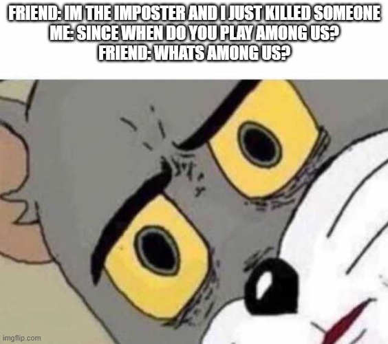 hol' up | FRIEND: IM THE IMPOSTER AND I JUST KILLED SOMEONE
ME: SINCE WHEN DO YOU PLAY AMONG US?
FRIEND: WHATS AMONG US? | image tagged in tom cat unsettled close up,unsettled tom | made w/ Imgflip meme maker