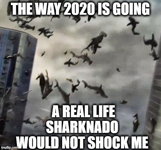 Sharknado | THE WAY 2020 IS GOING; A REAL LIFE SHARKNADO WOULD NOT SHOCK ME | image tagged in sharknado,2020,2020 sucks,memes,fun | made w/ Imgflip meme maker