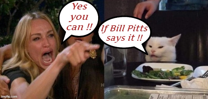 "Heavy Metal Fans for Heavy Metal Group's" on Fb. | Yes
you
can !! If Bill Pitts
says it !! | image tagged in woman yelling at smudge the cat,heavy metal,facebook | made w/ Imgflip meme maker