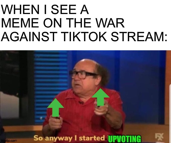 WHEN I SEE A MEME ON THE WAR AGAINST TIKTOK STREAM: | image tagged in blank white template,so anyway i started up voting | made w/ Imgflip meme maker