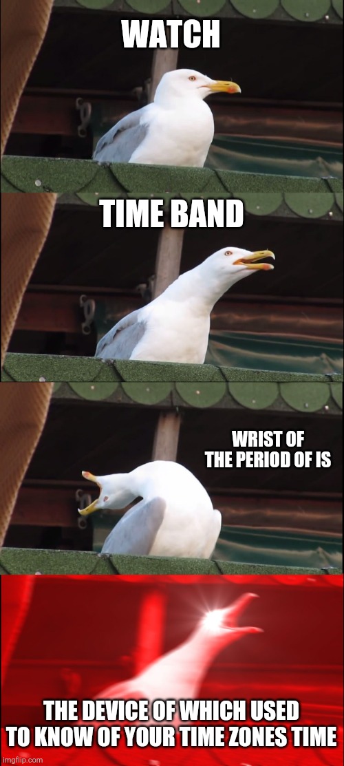 Inhaling Seagull | WATCH; TIME BAND; WRIST OF THE PERIOD OF IS; THE DEVICE OF WHICH USED TO KNOW OF YOUR TIME ZONES TIME | image tagged in memes,inhaling seagull | made w/ Imgflip meme maker