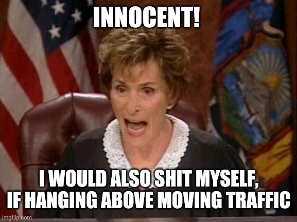 Judge Judy | INNOCENT! I WOULD ALSO SHIT MYSELF, IF HANGING ABOVE MOVING TRAFFIC | image tagged in judge judy | made w/ Imgflip meme maker