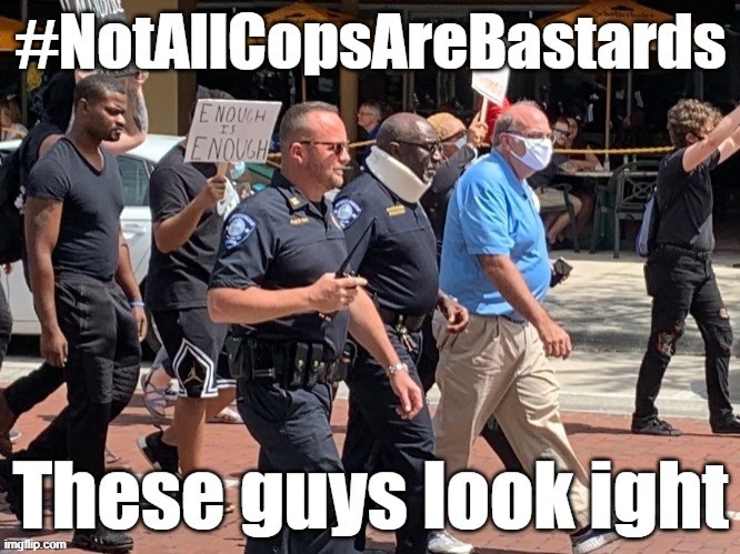 Let's remind everyone that the vast majority of liberals just want police reform. And guess what? So do a lot of cops. | image tagged in police brutality,police,politics,protest,protests,protestors | made w/ Imgflip meme maker