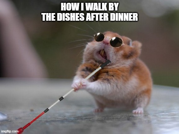 Dishes | HOW I WALK BY THE DISHES AFTER DINNER | image tagged in dishes,blind | made w/ Imgflip meme maker