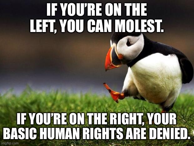 Basic double standard | IF YOU’RE ON THE LEFT, YOU CAN MOLEST. IF YOU’RE ON THE RIGHT, YOUR BASIC HUMAN RIGHTS ARE DENIED. | image tagged in memes,unpopular opinion puffin,liberal,conservative,hypocrisy,double standard | made w/ Imgflip meme maker