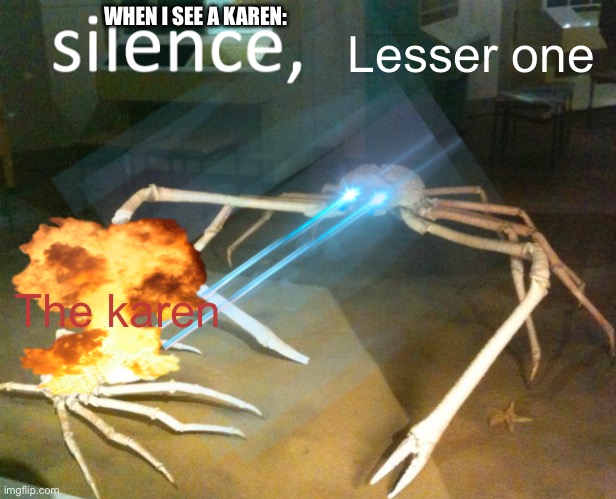 Silence Crab | WHEN I SEE A KAREN:; Lesser one; The karen | image tagged in silence crab | made w/ Imgflip meme maker