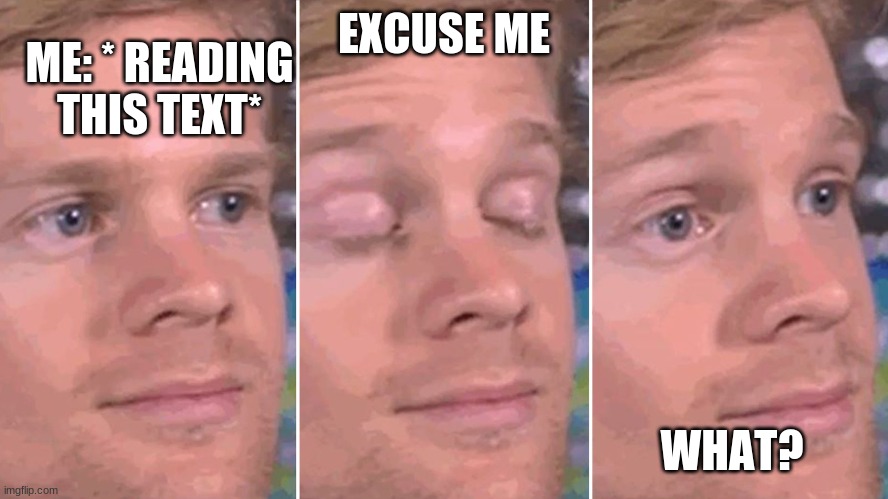 EXCUSE ME WHAT? ME: * READING THIS TEXT* | made w/ Imgflip meme maker