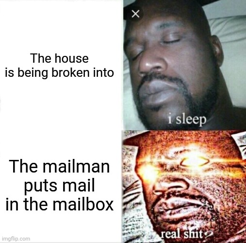 Dogs be like | The house is being broken into; The mailman puts mail in the mailbox | image tagged in memes,sleeping shaq,dogs | made w/ Imgflip meme maker