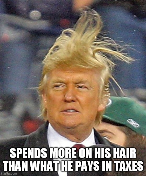 Donald Trumph hair | SPENDS MORE ON HIS HAIR THAN WHAT HE PAYS IN TAXES | image tagged in donald trumph hair | made w/ Imgflip meme maker