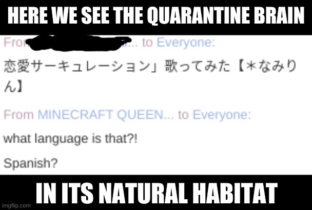 zoom life | HERE WE SEE THE QUARANTINE BRAIN; IN ITS NATURAL HABITAT | image tagged in quarantine,zoom,language,minecrafter,srsly,japanese | made w/ Imgflip meme maker