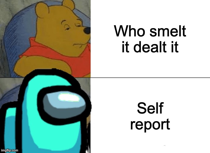 Tuxedo Winnie The Pooh | Who smelt it dealt it; Self report | image tagged in memes,tuxedo winnie the pooh | made w/ Imgflip meme maker