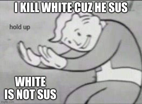 Fallout Hold Up | I KILL WHITE CUZ HE SUS; WHITE IS NOT SUS | image tagged in fallout hold up | made w/ Imgflip meme maker