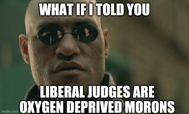 Matrix Morpheus Meme | WHAT IF I TOLD YOU LIBERAL JUDGES ARE OXYGEN DEPRIVED MORONS | image tagged in memes,matrix morpheus | made w/ Imgflip meme maker