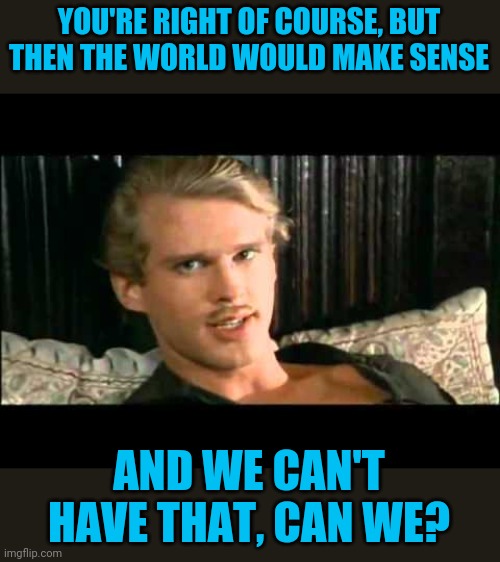 To the pain | YOU'RE RIGHT OF COURSE, BUT THEN THE WORLD WOULD MAKE SENSE AND WE CAN'T HAVE THAT, CAN WE? | image tagged in to the pain | made w/ Imgflip meme maker