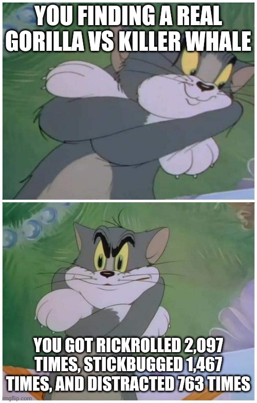 Tom and jerry | YOU FINDING A REAL GORILLA VS KILLER WHALE; YOU GOT RICKROLLED 2,097 TIMES, STICKBUGGED 1,467 TIMES, AND DISTRACTED 763 TIMES | image tagged in tom and jerry | made w/ Imgflip meme maker