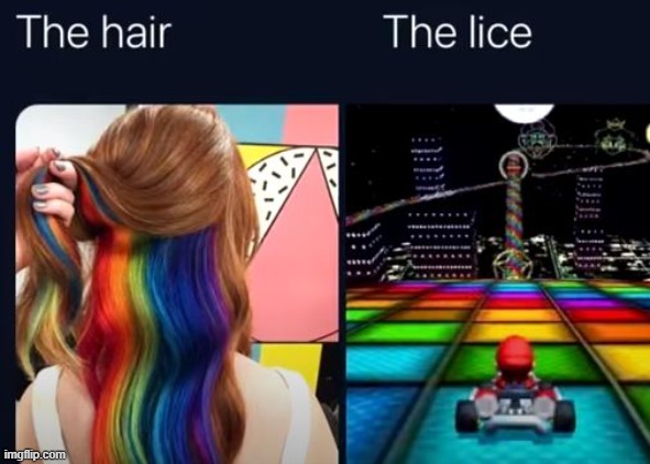 The hair | image tagged in memes | made w/ Imgflip meme maker