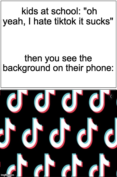 if this is you i'm not judging | kids at school: "oh yeah, I hate tiktok it sucks"; then you see the background on their phone: | image tagged in memes,blank comic panel 1x2 | made w/ Imgflip meme maker