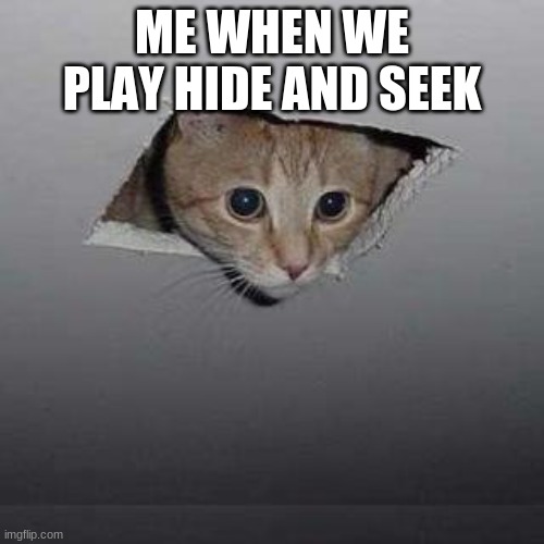 Ceiling Cat Meme | ME WHEN WE PLAY HIDE AND SEEK | image tagged in memes,ceiling cat | made w/ Imgflip meme maker