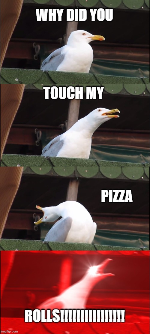 This is when somebody does takes my pizza rolls | WHY DID YOU; TOUCH MY; PIZZA; ROLLS!!!!!!!!!!!!!!!! | image tagged in memes,inhaling seagull | made w/ Imgflip meme maker