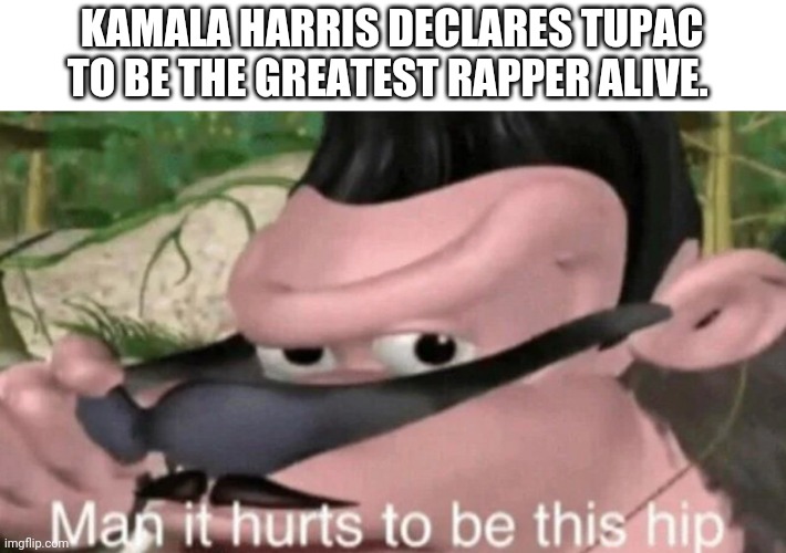 Politics aside, excuse me, what the heck?! | KAMALA HARRIS DECLARES TUPAC TO BE THE GREATEST RAPPER ALIVE. | image tagged in man it hurts to be this hip,kamala harris,election 2020,memes,funny,tupac | made w/ Imgflip meme maker
