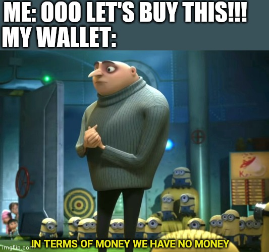 In terms of money, we have no money | ME: OOO LET'S BUY THIS!!! MY WALLET:; IN TERMS OF MONEY WE HAVE NO MONEY | image tagged in in terms of money we have no money | made w/ Imgflip meme maker